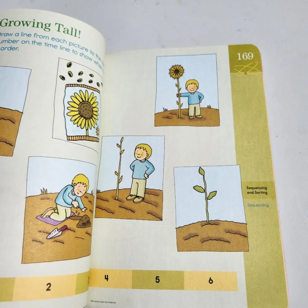 NEW Brain Quest Workbook Grade 1 1st Grade Book Paperback ‏ 320pages Stocking St